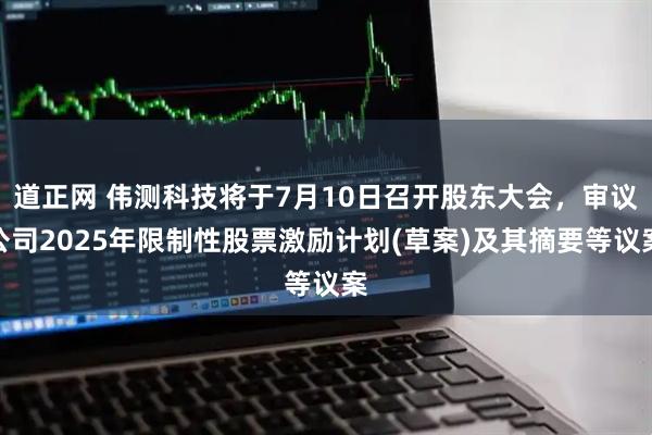 道正网 伟测科技将于7月10日召开股东大会，审议公司2025年限制性股票激励计划(草案)及其摘要等议案