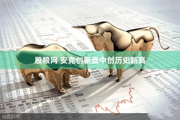股粮网 安克创新盘中创历史新高