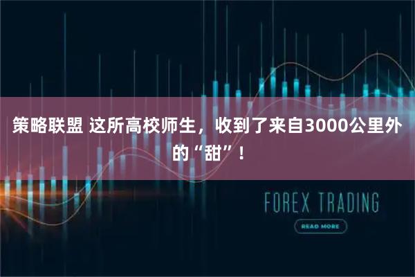 策略联盟 这所高校师生，收到了来自3000公里外的“甜”！