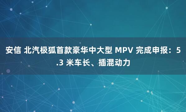安信 北汽极狐首款豪华中大型 MPV 完成申报：5.3 米车长、插混动力