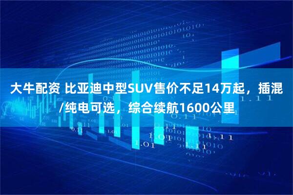 大牛配资 比亚迪中型SUV售价不足14万起，插混/纯电可选，综合续航1600公里
