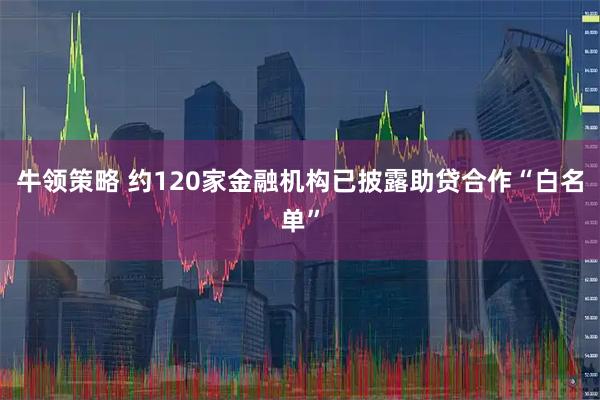 牛领策略 约120家金融机构已披露助贷合作“白名单”